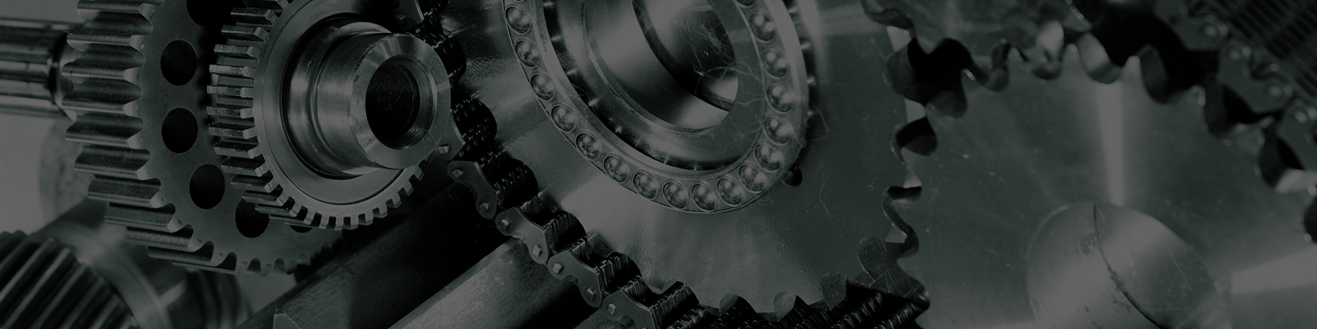 Videos / Image Gallery Of Vertical Flap Disc